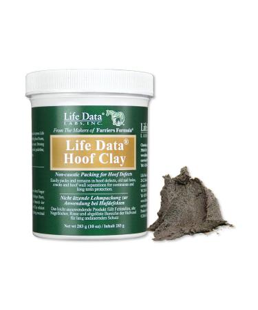 LIFE DATA LABS Unisex's ELE0008 Farrier's Formula Hoof Clay Clear Regular