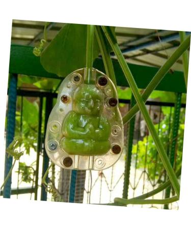 SUPVOX 5pcs Vegetable Fruits Adorable Growing Mini Growth Pear Statue Fruit Gardening Melon - Buy Online on SooperMarket.com