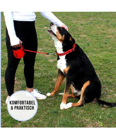 High-Quality 5m Cong Roll-Out Dog Leash for Large Dogs Up to 50kg | Comfortable Soft Handle & Reflective Belt | Durable Pink Roller Linen with Break & Lock System - Buy Online on SooperMarket.com
