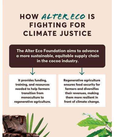 Alter Eco Organic Deep Dark Salted Brown Butter Chocolate Bar - 70% Cocoa, 2.82 oz - Buy Online on SooperMarket.com