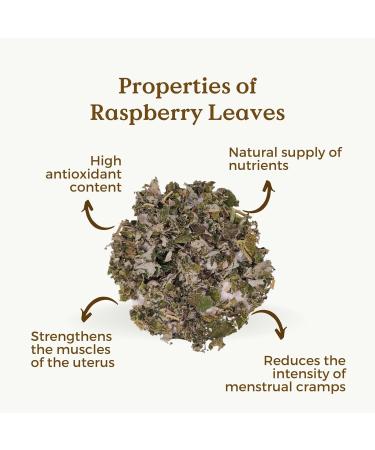 Raspberry Leaf Tea Organic 100g (50 Cups) | Rubus idaeus Pure Dried Loose Herbal Tea REPLANTEA - Buy Online on SooperMarket.com