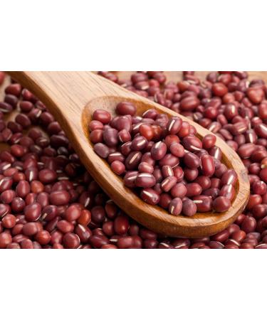 Organic Small Red Chili Beans 10 Pounds - Non-GMO, Kosher, Vegan, Raw, Sproutable, Non-Irradiated - USA 10 LB Bulk - Buy Online on SooperMarket.com