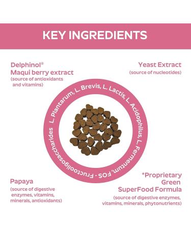 Premium Dog Probiotics 5BIL CFUs | 12 Strains Good Bacteria for Gut & Skin Health | Immune Support & Itch Relief | Salmon Flavored Chews for All Breeds & Ages - Buy Online on SooperMarket.com