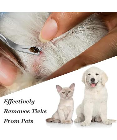EasyULT 2 in 1 Tick Remover Stainless Steel Professional Tick Removal Tool Safe Tick Remover for Pet Humans Dogs Cats 1 silver - Buy Online on SooperMarket.com
