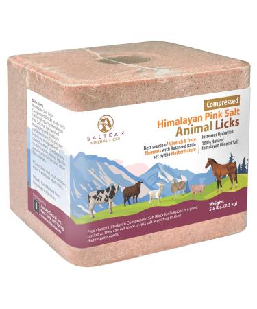 SALTEAN Compressed Himalayan Horses Lick Natural Pink Salt with strong hanging Rope No Starch(2.5 kg) "Salt Range Pakistan"