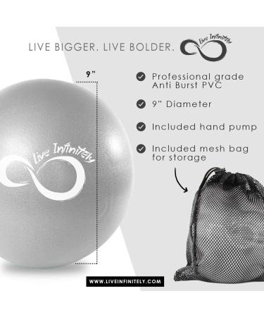 Live Infinitely 9 Barre Pilates Ball Set | Anti-Burst Mini Ball with Hand Pump | Yoga & Exercise eBook Included | Silver | Mesh Carrying Bag - Buy Online on SooperMarket.com