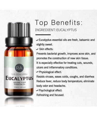 Eucalyptus Essential Oil 100% Pure Natural Aromatherapy Eucalyptus Oil for Diffuser (10ML) - Buy Online on SooperMarket.com