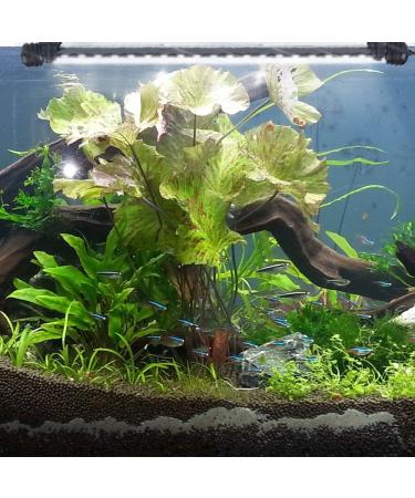 15 Inch LED Aquarium Light Submersible Crystal Glass Fish Tank Bar, IP68 Waterproof White LEDs - Buy Online on SooperMarket.com