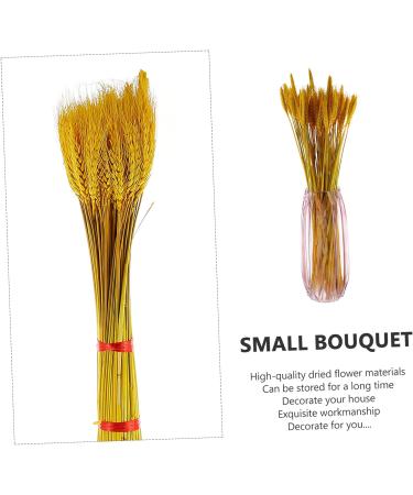 MAGICLULU 200 Pcs Dried Wheat Ears Bouquet Decor Wheat Stalk Natural Wheat Ear Dried Flowers Bouquet Dry Flowers Floral Arrangement Wheat Ear Wedding Wheat Ear Dried Flowers. Barley Props Yellowx2pcs 52X10CMx2pcs - Buy Online on SooperMarket.com