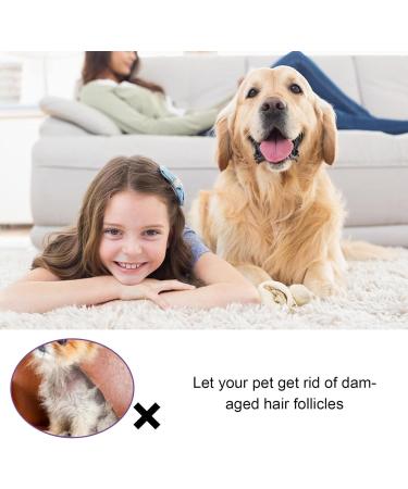 Cat Detangler Spray for Matted Hair Leave In Hair Conditioner Spray Pet Supplies for Dogs Cats Matted Hair Encourages Hair Regrowth (30ml) Shareed - Buy Online on SooperMarket.com