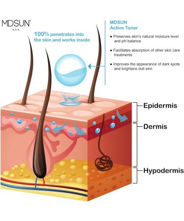 MDSUN Active Toner - Antioxidant Facial Toner for Dark Spots & Dull Skin | Deep Hydration pH-Balance Anti-Aging | 120mL - Buy Online on SooperMarket.com