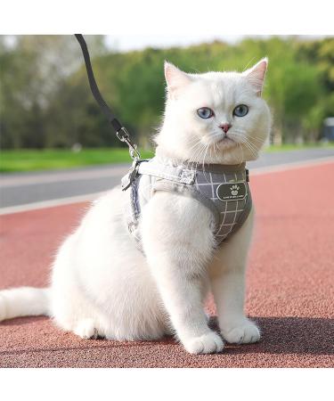 Outbreak-Proof Cat Dishes with 5m Leash Set | Automatic Retractable Cat & Dog Line - Buy Online on SooperMarket.com