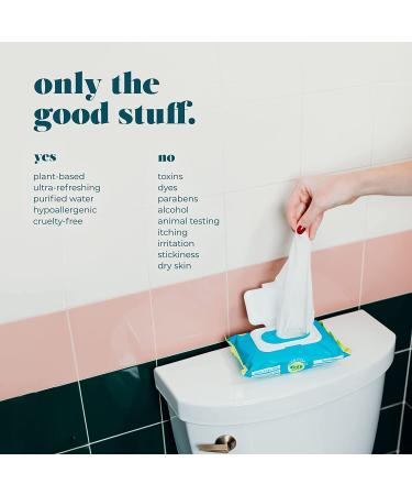 Goodwipes Flushable Butt Wipes - Aloe & Botanicals, Gentle & Soothing Wet Wipes | 240 Count, Septic Safe, Home Dispenser | 4 Pack Variety - Buy Online on SooperMarket.com