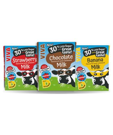Viva Flavoured Milk Cartons Bundle 3x3x200ml | 3 x Strawberry 3 x Chocolate 3 x Banana