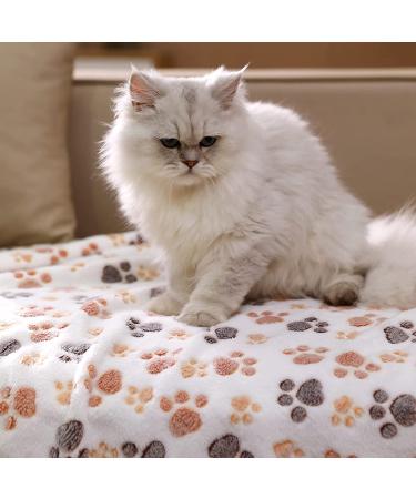 Premium Fleece Pet Blanket Flannel Throw Pack - Super Soft & Fluffy - Paw Small - 3 Pack - Buy Online on SooperMarket.com