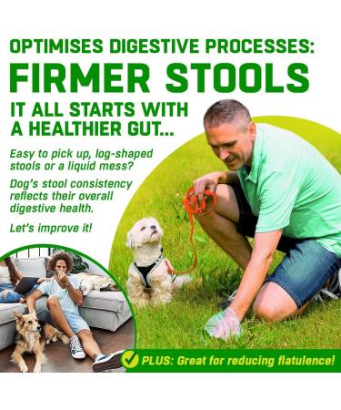 CANIVET Probiotics for Dogs. Canine Dietary Supplement - Aids Digestive Health 100g Powder Dog Probiotic. 5 Billion CFU** with 10 Strains of Good Bacteria for your Dog's Digestive Health. 100 g (Pack of 1) - Buy Online on SooperMarket.com