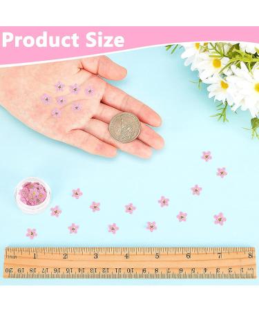 Timtin 100 Pcs Natural Forget Me Dried Flowers for DIY Jewelry, Candle, and Card Making - Real Pressed Flowers for Resin Ornaments and Nail Art Decorations (Pink) - Buy Online on SooperMarket.com