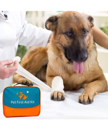 Pet First Aid Kit Veterinary First Aid Bag for Dog Cat Rabbit Animal with Otoscope feeder Perfect for Home Care and Outdoor Travel Emergencies - Buy Online on SooperMarket.com