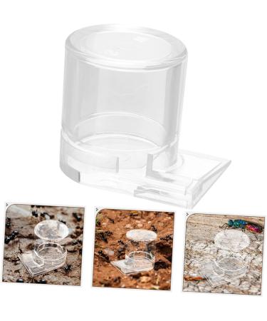 COLLBATH Pet Water Feeder Ant Water Feeders Water Feeding Cup for Ant Nest Ant Keeping Transparent Plastic - Buy Online on SooperMarket.com