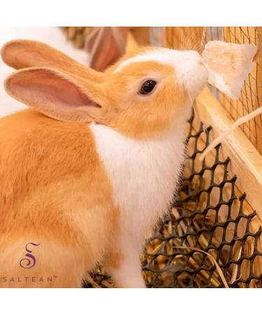 SALTEAN Himalayan Rock Salt Lick - 86g | Small Animal/Pet Hanging Licks - Buy Online on SooperMarket.com