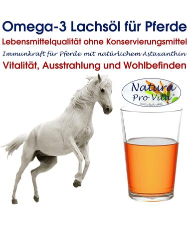 Premium Omega-3 Salmon Oil for Horses | Cold-Pressed Fish Oil for Skin & Immune Support | 3L Glass Bottle (3x1L) - Natural Horse Food - Buy Online on SooperMarket.com
