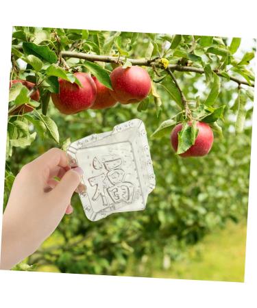 Mipcase 2pcs Square Apple Molds Fruit Vegetable Molds for Gardening Melon Stereotypes Plastic - Buy Online on SooperMarket.com