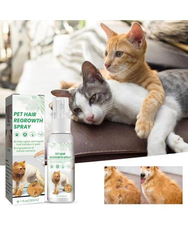 Cat Detangler Spray for Matted Hair Leave In Hair Conditioner Spray Pet Supplies for Dogs Cats Matted Hair Encourages Hair Regrowth (30ml) Shareed - Buy Online on SooperMarket.com