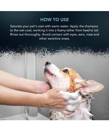 WAHL Shampoo for Pets - Jet Black 5L | Premium Pet Care International Shipping - Buy Online on SooperMarket.com