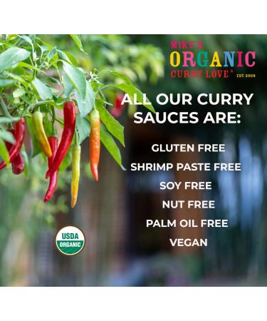 Organic Vegan Yellow Thai Curry Sauce | Dairy-Free and Easy Meal Prep | 8.8 oz Pouch - Buy Online on SooperMarket.com