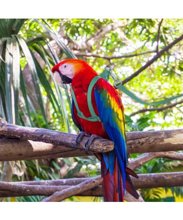 Ruqias Pet Bird Harness Leash for Macaw Cockatoos with Buckle Adorable Rainbow Design Safe Parrot Leash Pet Harness Outdoor Adjustable Anti Bite Training Rope for Macaw Large Size Bird L Green - Buy Online on SooperMarket.com