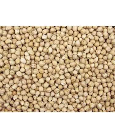 Gorilla Food Co. Chickpeas Dried - 400g - Buy Online on SooperMarket.com