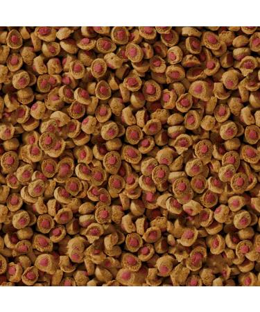 Sera Koi Professional Summer Food 2.2 kg - High-Energy Koi Futter for Optimal Growth & Health Reduced Water Load & Algae Prevention - International Shipping Available - Buy Online on SooperMarket.com