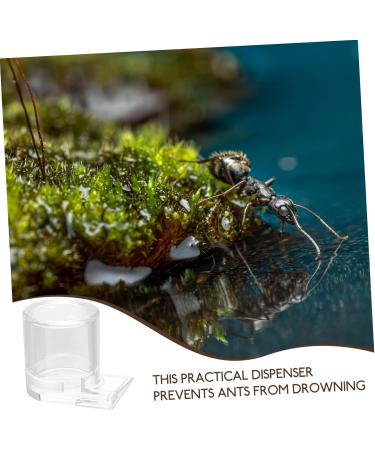 Toddmomy Pet Water Feeder Ant Water Drinking Cup Ant Watering Cup Ants Waterer Ant Feed Bowl to Feed Animal - Buy Online on SooperMarket.com