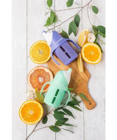 Glass Sippy Cup Set for Toddlers - 5oz - Spill-Proof Silicone Straw - Mint Green & Indigo Purple - BPA-Free - Buy Online on SooperMarket.com