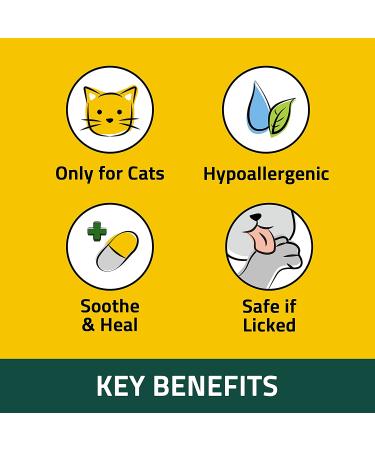Breezytail PetOCera Itchy Skin Relief Cream for Cats - Soothing Paw Balm | Dermatitis Solution for Dry & Sensitive Skin | 1.35oz - Buy Online on SooperMarket.com