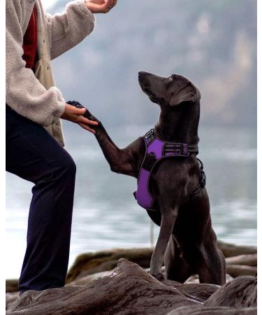 Joytale Reflective Dog Harness for Medium Dogs - Soft Padded Adjustable & Breathable with Control Handle - Purple (1 Pack) - Buy Online on SooperMarket.com