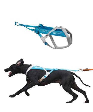 Non-stop dogwear FREEMOTION Harness 5.0 |111| Blue/Grey | Dog harness for all sports size:7 gray/blue 7