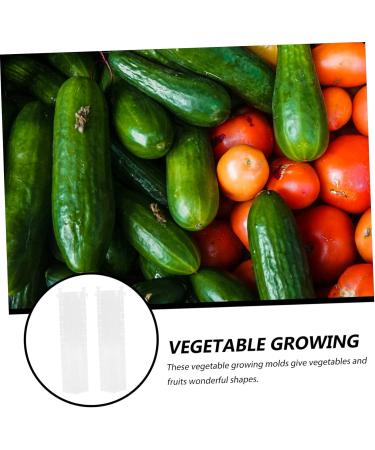 BCOATH 2pcs Melon and Fruit Shaping Mold Vegetables Pumpkin Shaping Mold Vegetable Growing Moulds Shaper - Buy Online on SooperMarket.com