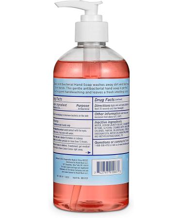 Clorox Liquid Hand Soap - 16 Fl Oz Pump Germ Eliminator Soft on Hands Tough on Dirt Strawberry Scented Hand Wash & Foam Soap - Buy Online on SooperMarket.com