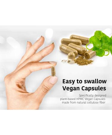 DR WAKDES Brahmi Capsules - 60 Vegan Ayurvedic Supplement for Mental Clarity & Focus | Bacopa Monnieri Herbal Natural Remedy - Buy Online on SooperMarket.com