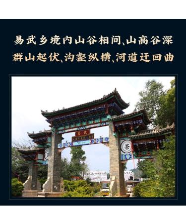 Pu-erh tea 2021 Yiwu luoshui dong 357g Raw - Buy Online on SooperMarket.com