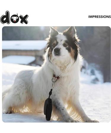 Ddoxx Reflective Nylon Dog Leash - Bite-Proof & Stable Roll Lock System | 5m for Dogs Up to 20kg - Blue - Buy Online on SooperMarket.com