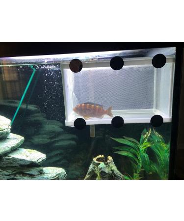 Large Fish Breeder Net with Suction Cups - Nylon Mesh Hatchery Isolation Box for Aquarium Tank - Buy Online on SooperMarket.com