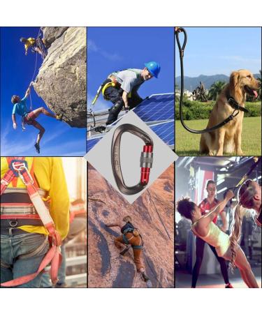 XINDA Screwgate Locking Carabiner Clip Set - 5 Pack Heavy Duty Rock Climbing Carabiners - Professional Outdoor Gear in Gray - Buy Online on SooperMarket.com
