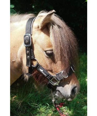 JF-Reitsport Cavesson Pro 2021 - 4-Way Adjustable Soft & Shock-Absorbing Padded for Warmbloods | International Shipping Available - Buy Online on SooperMarket.com