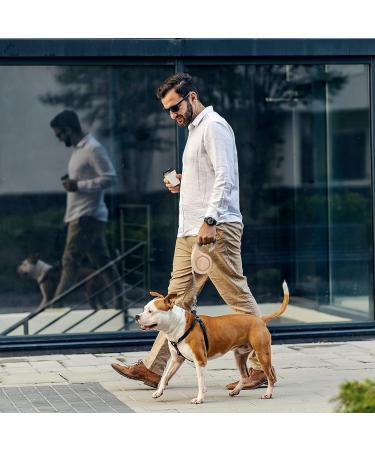 Beowanzk 5m Retractable Dog Leash for Small/Medium Dogs and Cats - One-Hand Brake Pause Lock (Gold) - Buy Online on SooperMarket.com