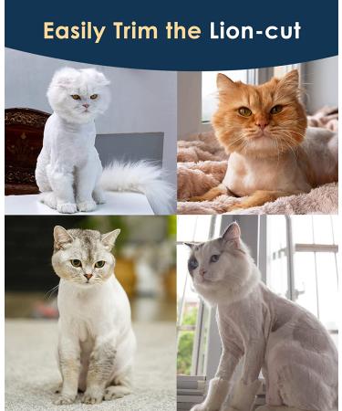 Oneisall Cat Grooming Clippers for Matted Hair - 2-Speed Cordless Pet Trimmer Kit - Low Noise Clipper for Dogs, Cats, Animals (Blue) - Buy Online on SooperMarket.com