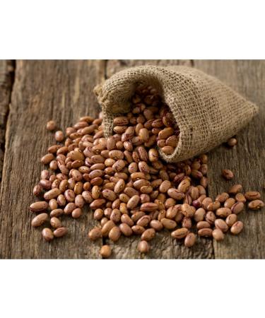 Buy Organic Quail & Pinto Beans - Gourmet Quality Dried Whole Beans (400g) | Natural Protein Boost for Healthy Living - Buy Online on SooperMarket.com