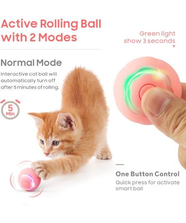 Baytion Interactive Cat Toy Ball with LED Light - USB Rechargeable (Pink) - Buy Online on SooperMarket.com