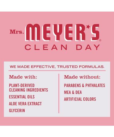 MRS. MEYER'S CLEAN DAY Peppermint Liquid Dish Soap - Biodegradable Limited Edition 16 fl. oz - Eco-Friendly Cleaning Solution for International Shipping - Buy Online on SooperMarket.com